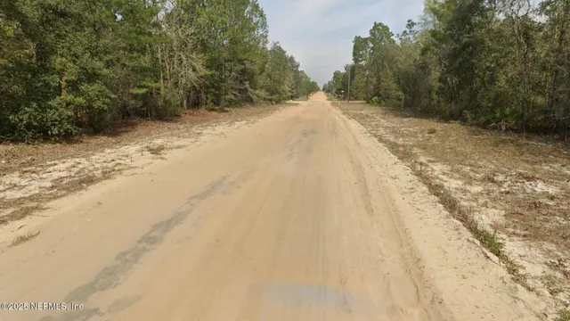 a view of a yard with trees