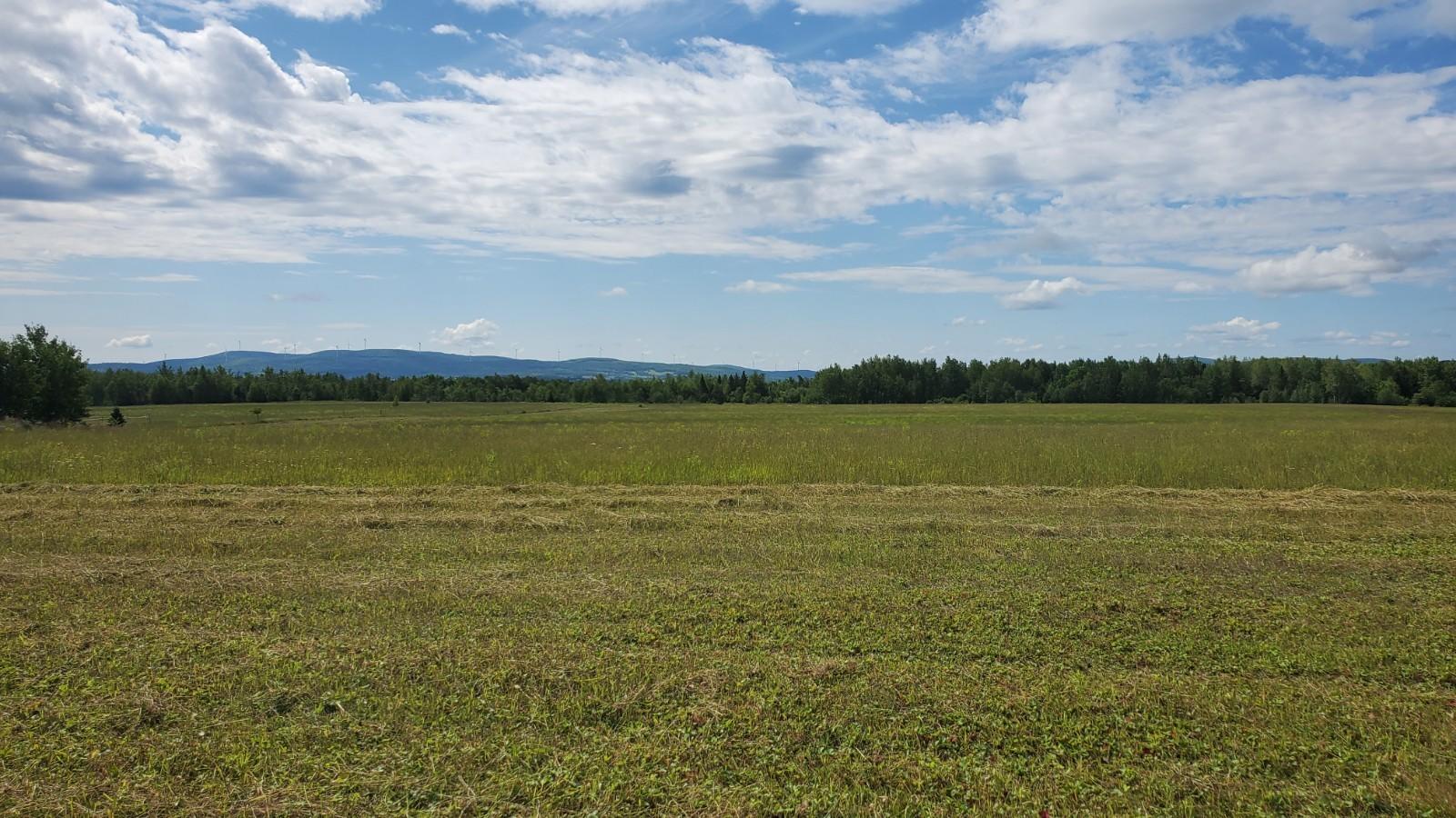 Lot 29 Rebel Hill Road Merrill, ME 04780 - Photo 8 of 11 20210723_102216