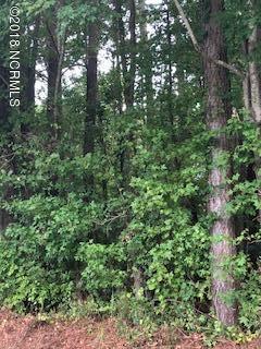 3312-17420 Watha Road Watha, NC 28478 - Photo 1 of 6 2.75 acre wooded lot on Watha Road