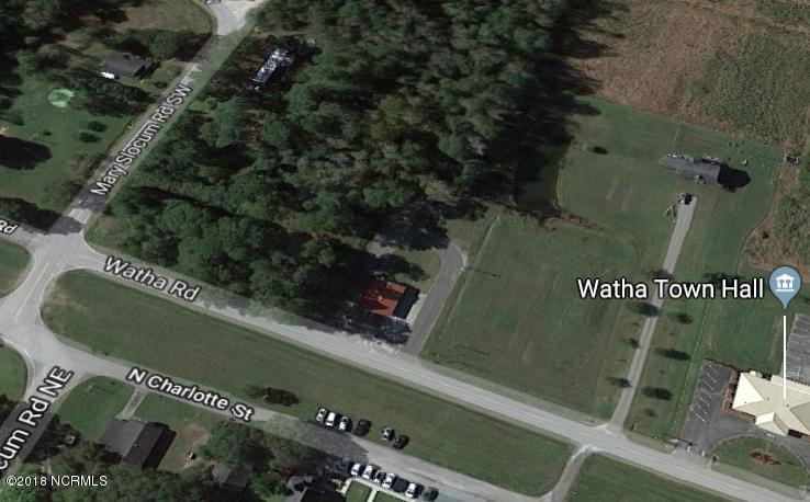 3312-17420 Watha Road Watha, NC 28478 - Photo 3 of 6 lot is next to fire station with orange roof