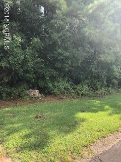3312-17420 Watha Road Watha, NC 28478 - Photo 4 of 6 view of lot from road