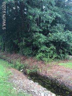 3312-17420 Watha Road Watha, NC 28478 - Photo 5 of 6 view of lot from drainage ditch