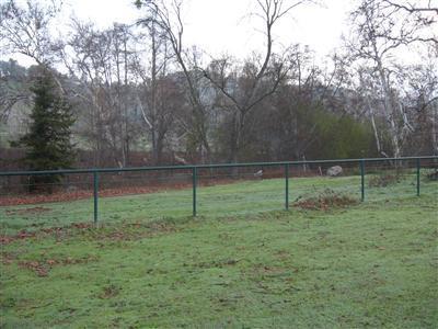 38649 Balch Park Road Springville, CA 93265 - Photo 8 of 27 Pastures are completely fenced