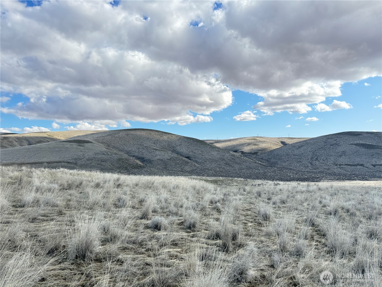 0 Baird Springs Road Northwest Quincy, WA 98848 - Photo 8 of 10 Gallery Image 8