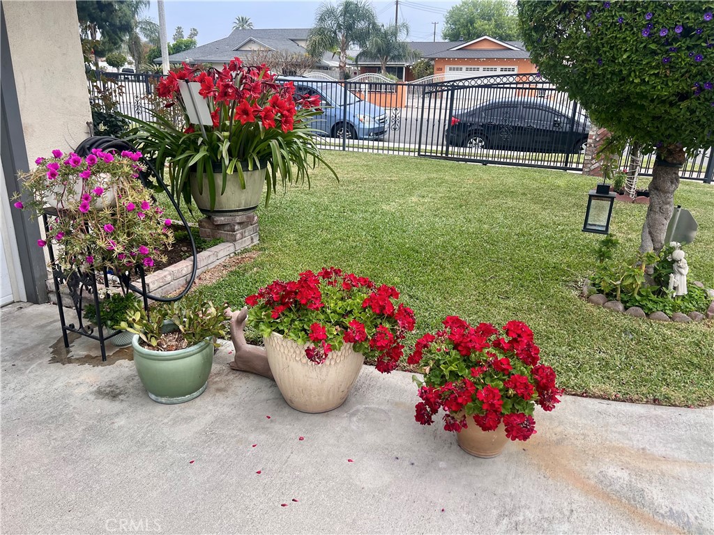 a bunch of flowers are in a garden