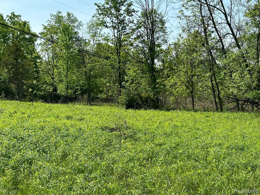 D North Holly Road Holly, MI 48442 - Photo 25 of 27