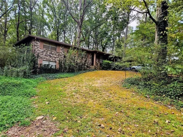 a view of a backyard with a large tree