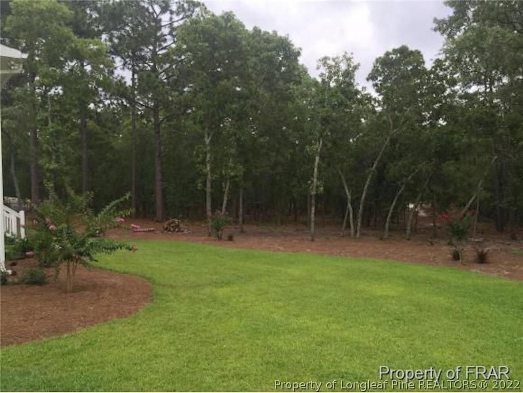 2945 Hampton Ridge Road Fayetteville, NC 28311 - Photo 3 of 21 Gallery Image 3