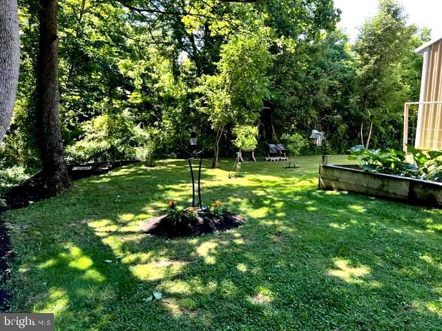2316 Theodore Road North East, MD 21901 - Photo 10 of 18 Raised bed gardens & fruit trees