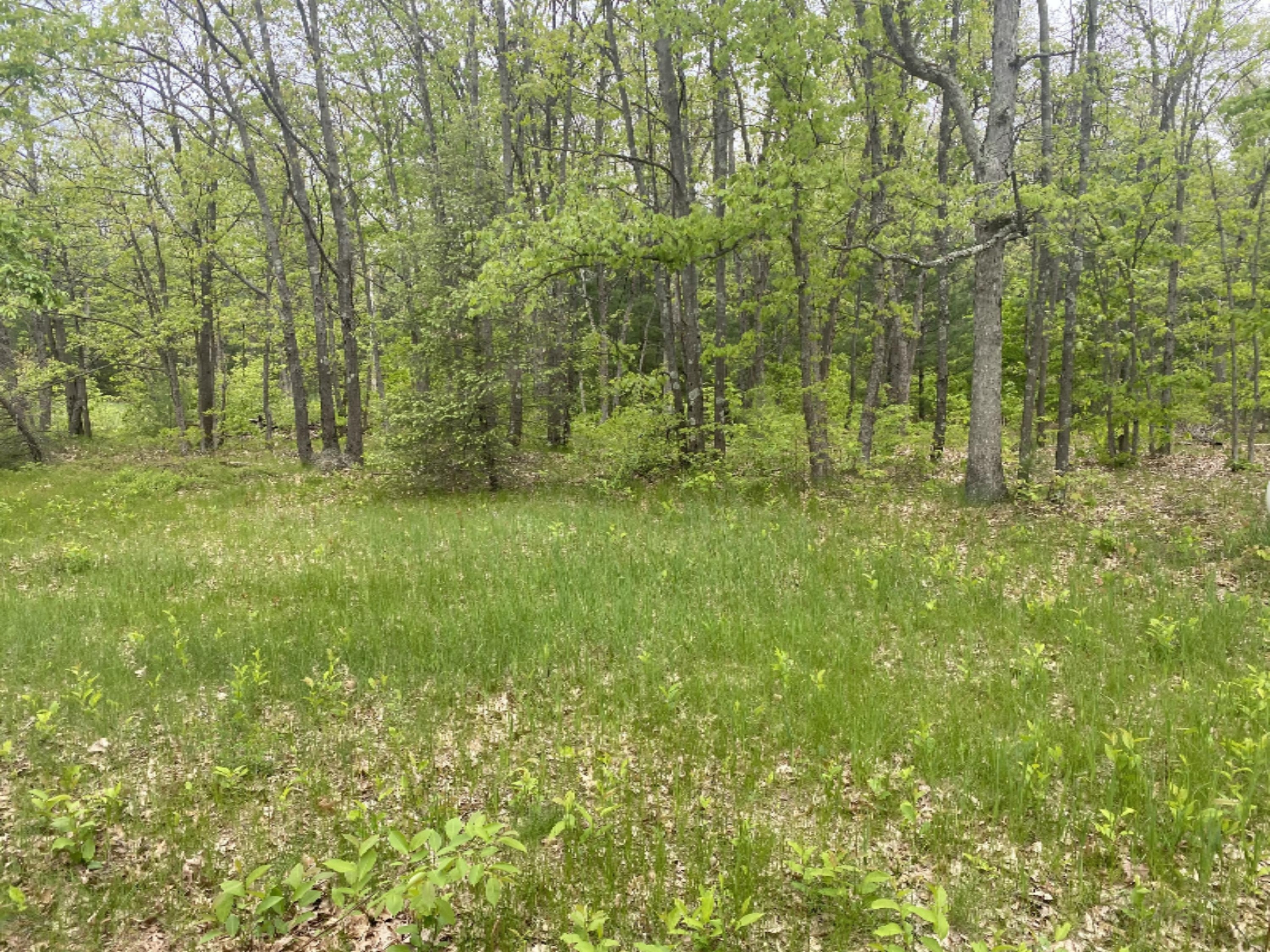 10070 Schow Road Holton, MI 49425 - Photo 9 of 10 IMG-4044