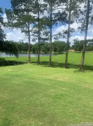 a view of a house with a yard and potted plants