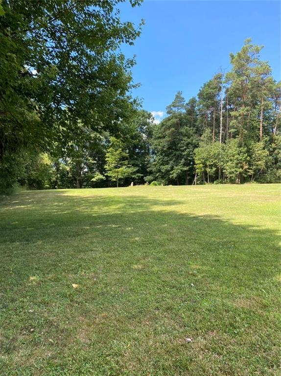 427 Chicora Road Butler, PA 16001 - Photo 3 of 15 Beautiful large backyard