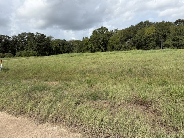 1032 Chuckwagon Trail Angleton, TX 77515 - Photo 2 of 8 Gallery Image 2