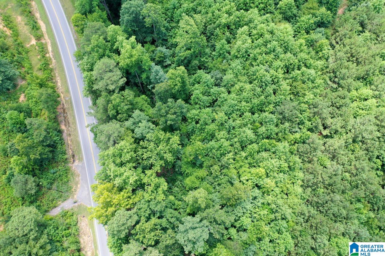 0 US Highway 278 Altoona, AL 35952 - Photo 9 of 14