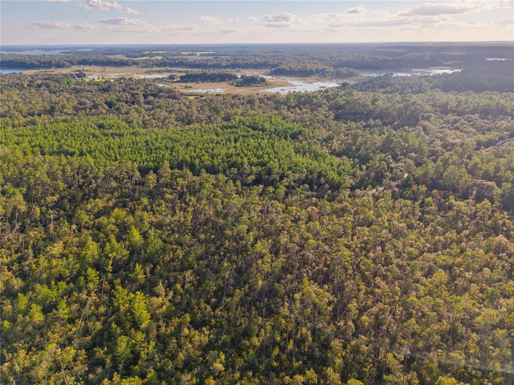 Nicatoon Retreat Umatilla, FL 32784 - Photo 12 of 26 a view of an ocean