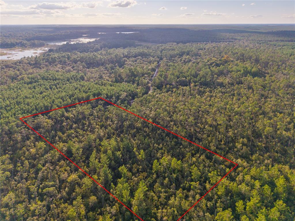 Nicatoon Retreat Umatilla, FL 32784 - Photo 18 of 26 a view of city and mountain