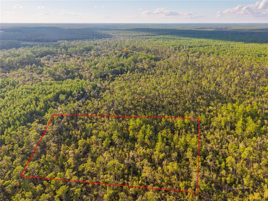 Nicatoon Retreat Umatilla, FL 32784 - Photo 19 of 26 a view of under an ocean