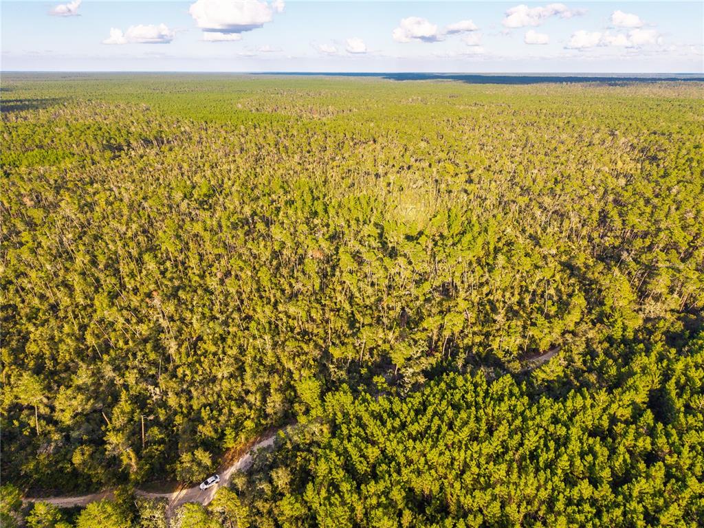 Nicatoon Retreat Umatilla, FL 32784 - Photo 2 of 26 a view of an ocean