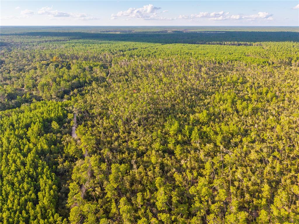Nicatoon Retreat Umatilla, FL 32784 - Photo 21 of 26 a bathroom with a bathtub and shower