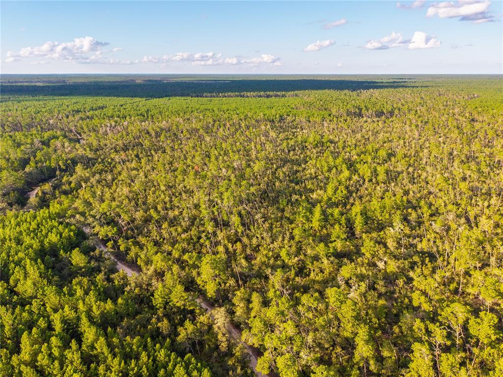 Nicatoon Retreat Umatilla, FL 32784 - Photo 22 of 26 a view of a room with an outdoor space and seating