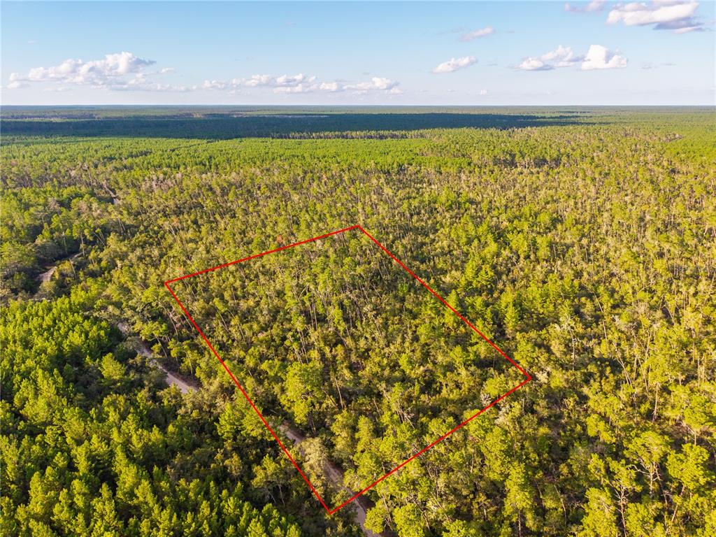 Nicatoon Retreat Umatilla, FL 32784 - Photo 24 of 26 a view of a room with an outdoor space and seating