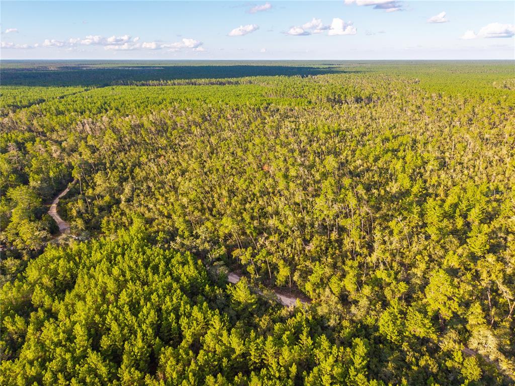 Nicatoon Retreat Umatilla, FL 32784 - Photo 25 of 26 a view of an ocean
