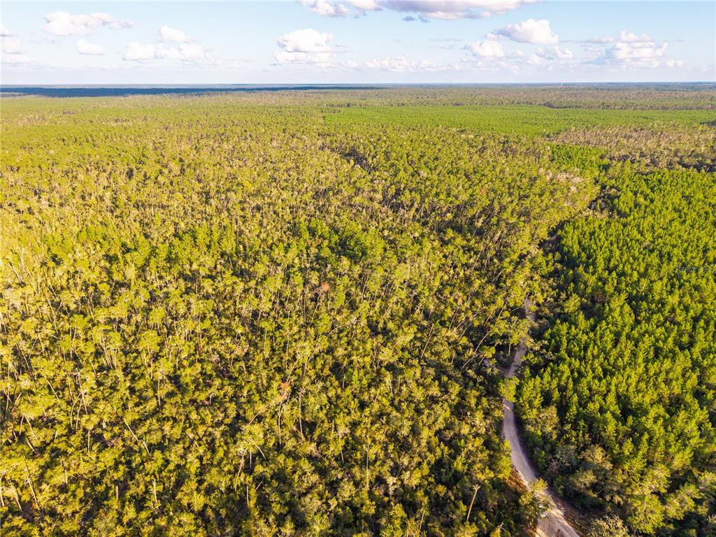 Nicatoon Retreat Umatilla, FL 32784 - Photo 4 of 26 a view of an ocean