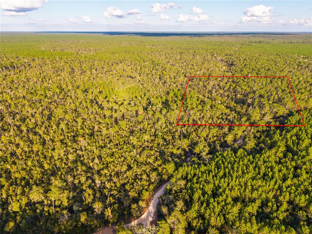 Nicatoon Retreat Umatilla, FL 32784 - Photo 5 of 26 a view of an ocean