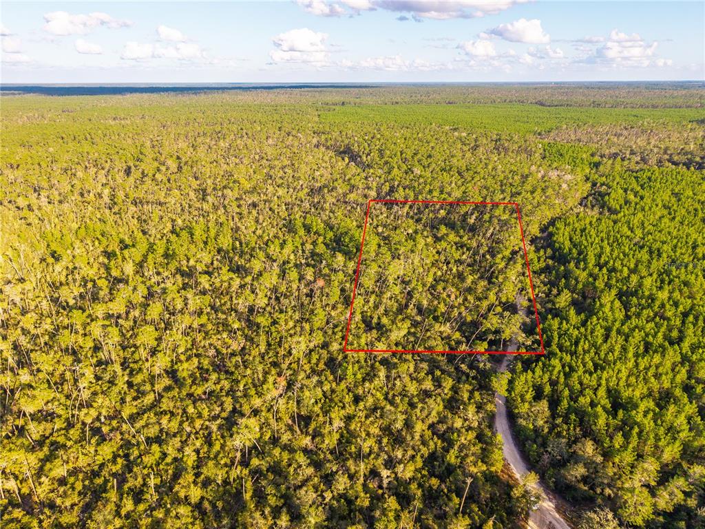 Nicatoon Retreat Umatilla, FL 32784 - Photo 6 of 26 a view of an ocean