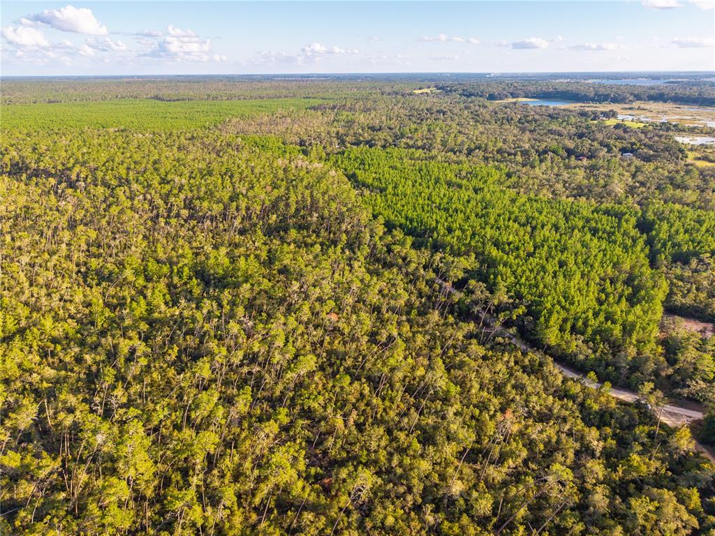 Nicatoon Retreat Umatilla, FL 32784 - Photo 7 of 26 a view of an ocean