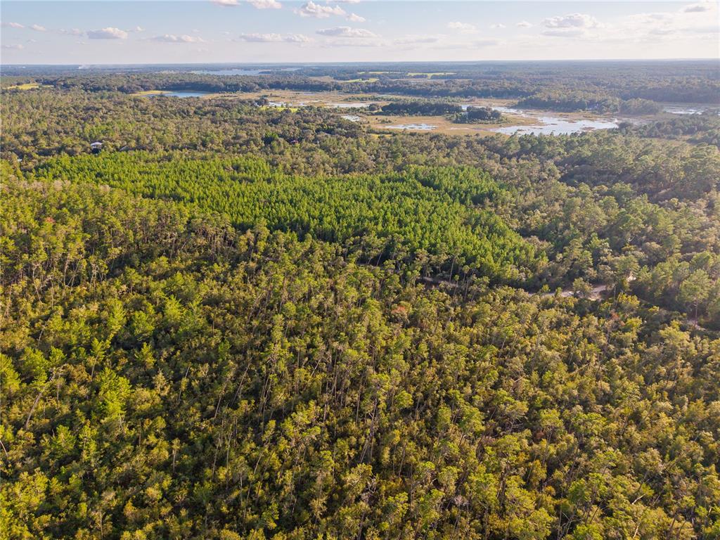 Nicatoon Retreat Umatilla, FL 32784 - Photo 10 of 26 a view of an ocean