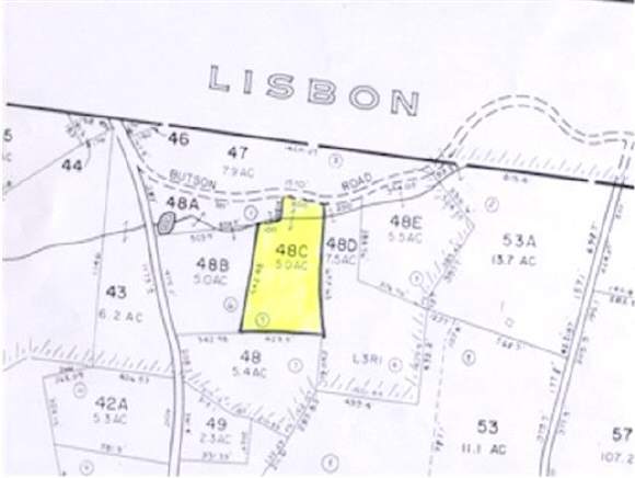 0 Butson Road Landaff, NH 03585 - Photo 1 of 1