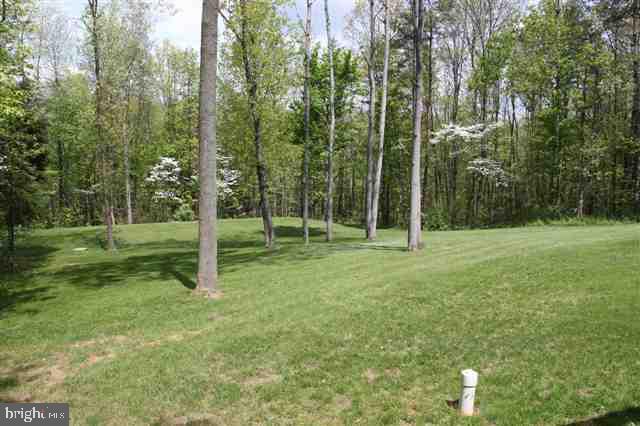 614 Windy Hill Road Shermans Dale, PA 17090 - Photo 3 of 25 Gallery Image 3