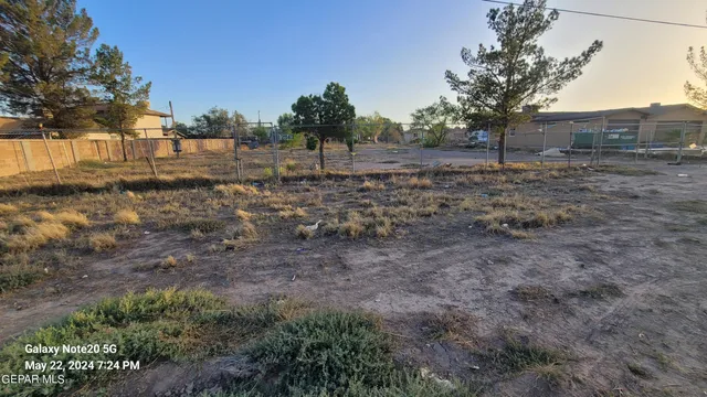 a view of a yard with a tree