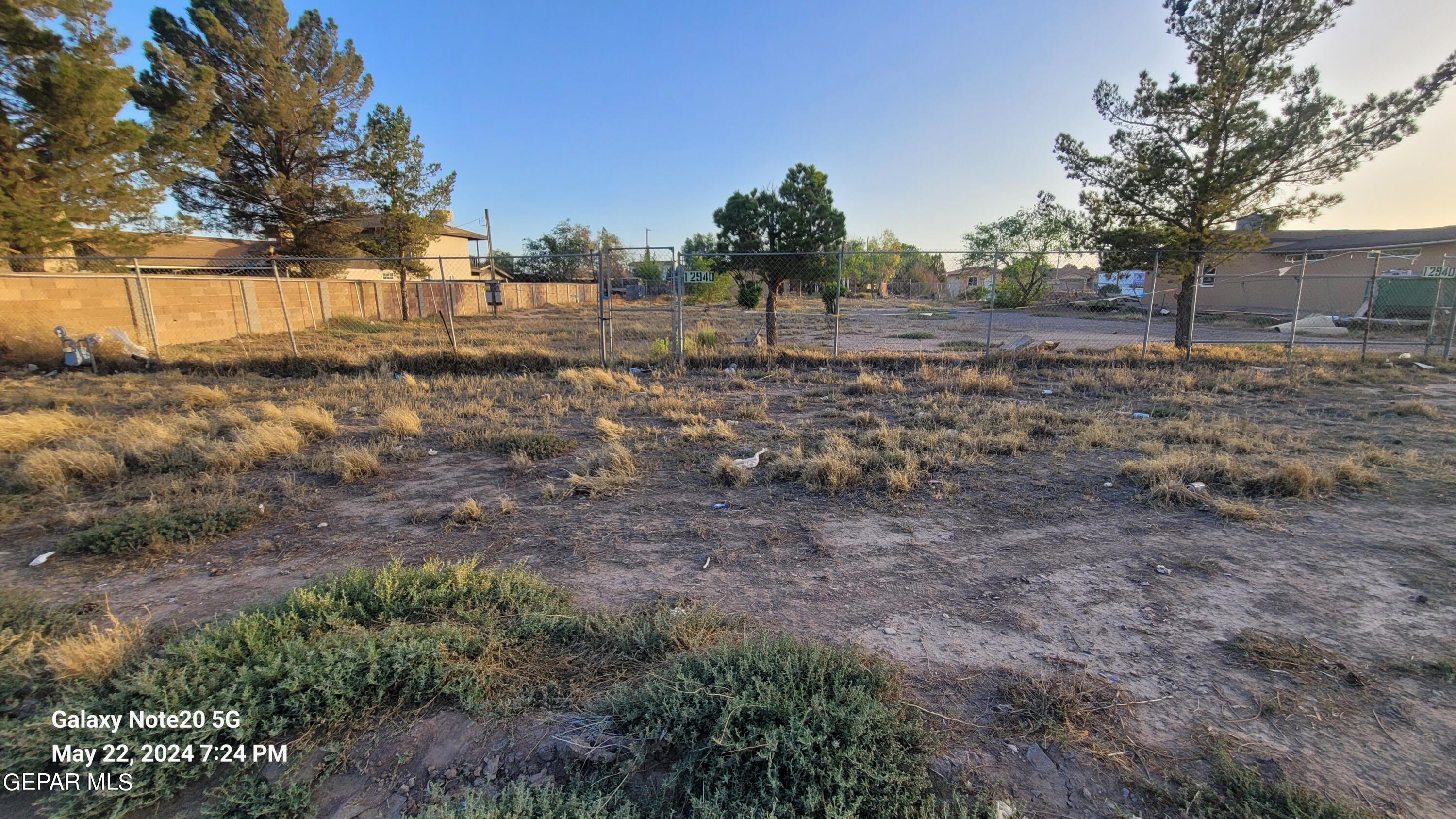12940 Cuadrilla Road San Elizario, TX 79849 - Photo 13 of 22 a view of a yard with a tree