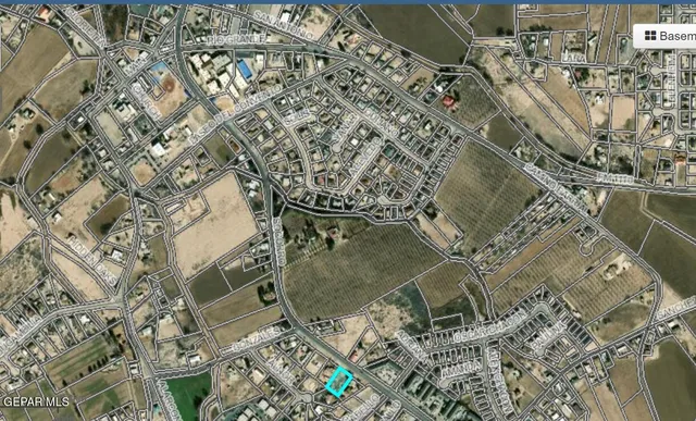 a view of a dry yard with lots of trees