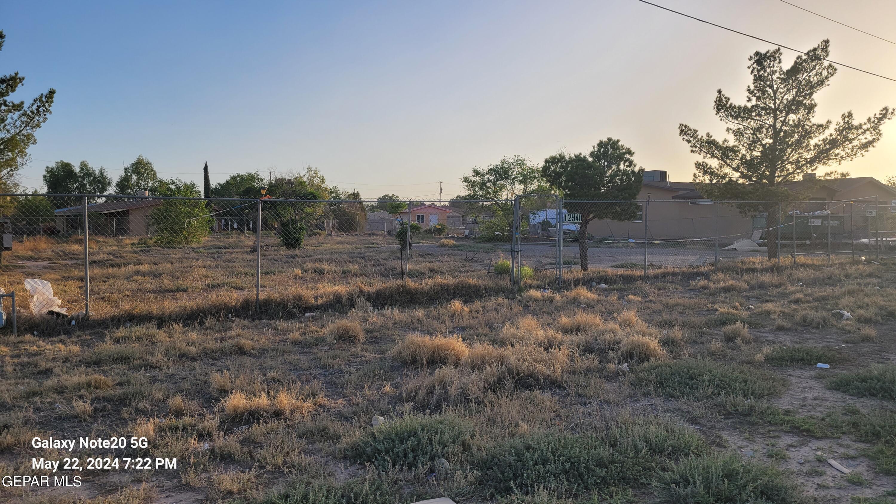 12940 Cuadrilla Road San Elizario, TX 79849 - Photo 5 of 22 a view of a dry yard with trees