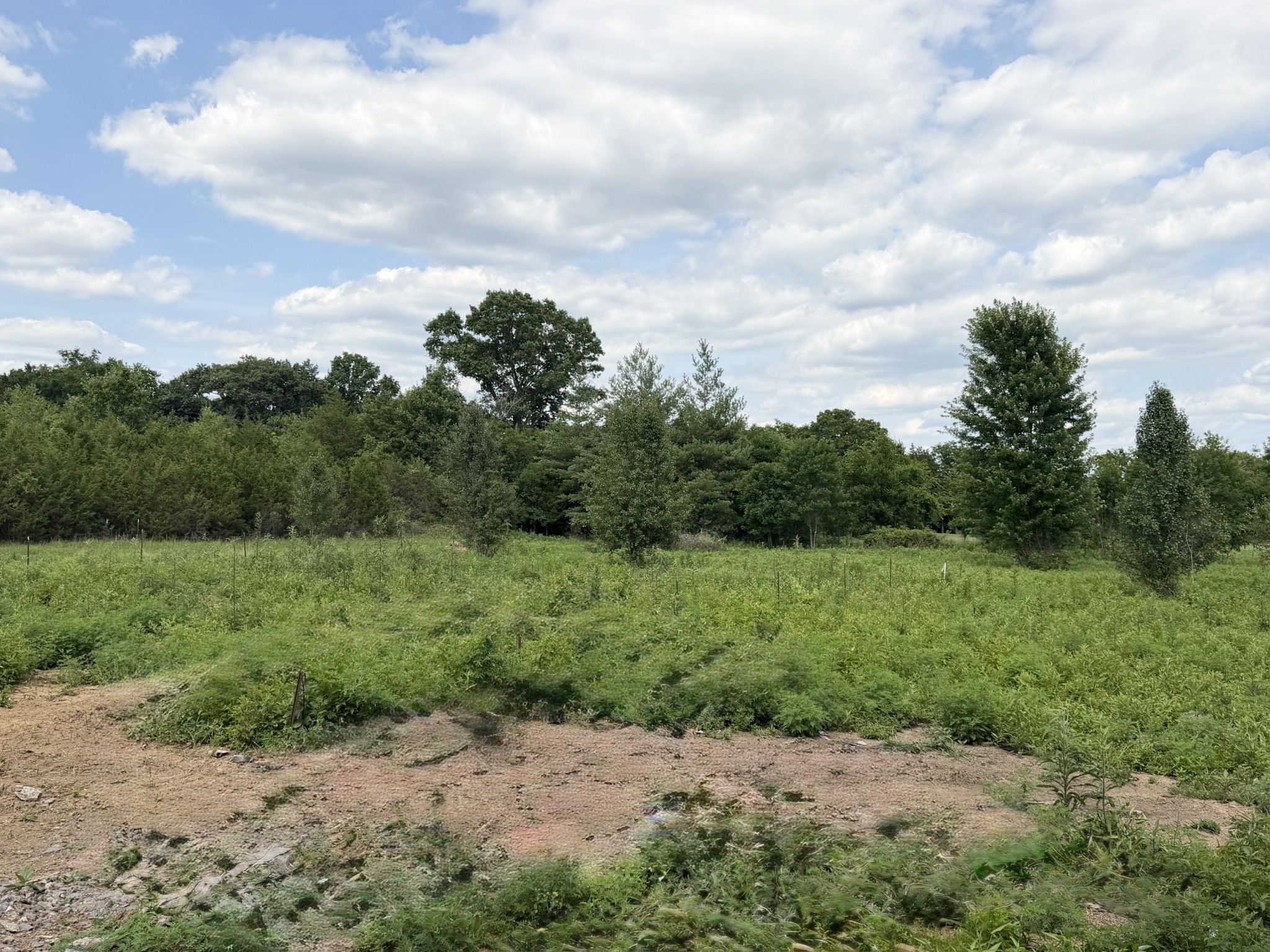 1165 Linwood Road Watertown, TN 37184 - Photo 25 of 26
