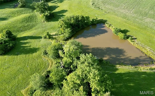 $1,097,250 | 79 Unincorporated Mo 63353, Louisiana, MO 63353