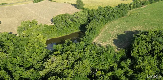 $1,097,250 | 79 Unincorporated Mo 63353, Louisiana, MO 63353