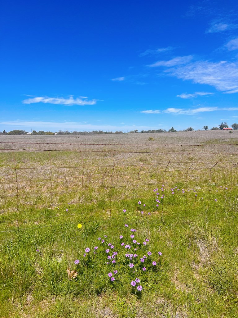 364 Cut-Off Road, Unit 3 Fredericksburg, TX 78624 - Photo 11 of 11 a view of an ocean