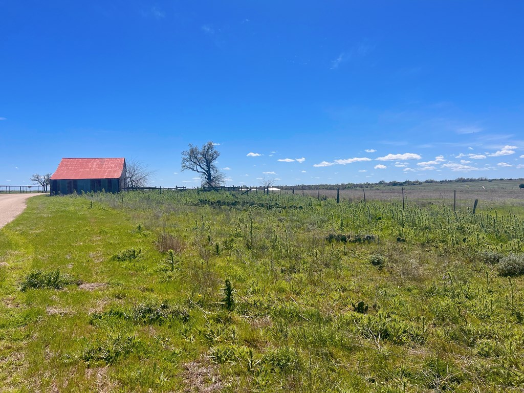 364 Cut-Off Road, Unit 3 Fredericksburg, TX 78624 - Photo 4 of 11 a view of a big yard
