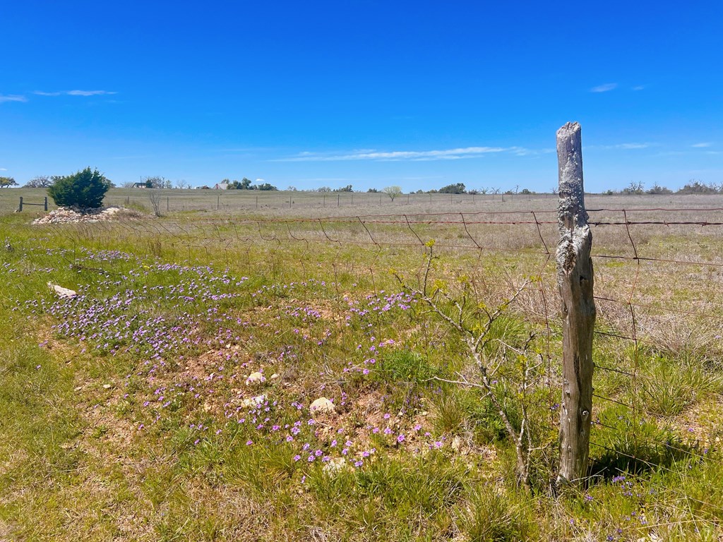 364 Cut-Off Road, Unit 3 Fredericksburg, TX 78624 - Photo 10 of 11 a view of a lake from a yard