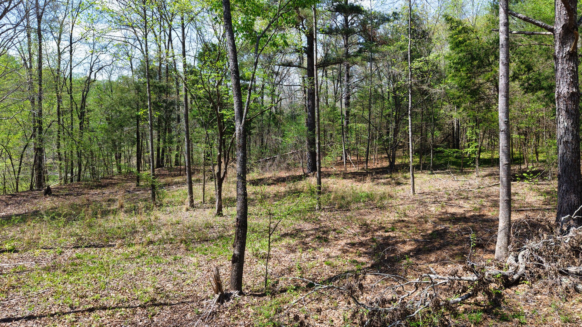 0 Brown Hollow Road Lyles, TN 37098 - Photo 15 of 24