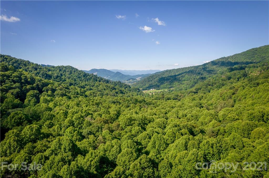602 Quail Cove Road Clyde, NC 28721 - Photo 47 of 48 a view of a field with a field