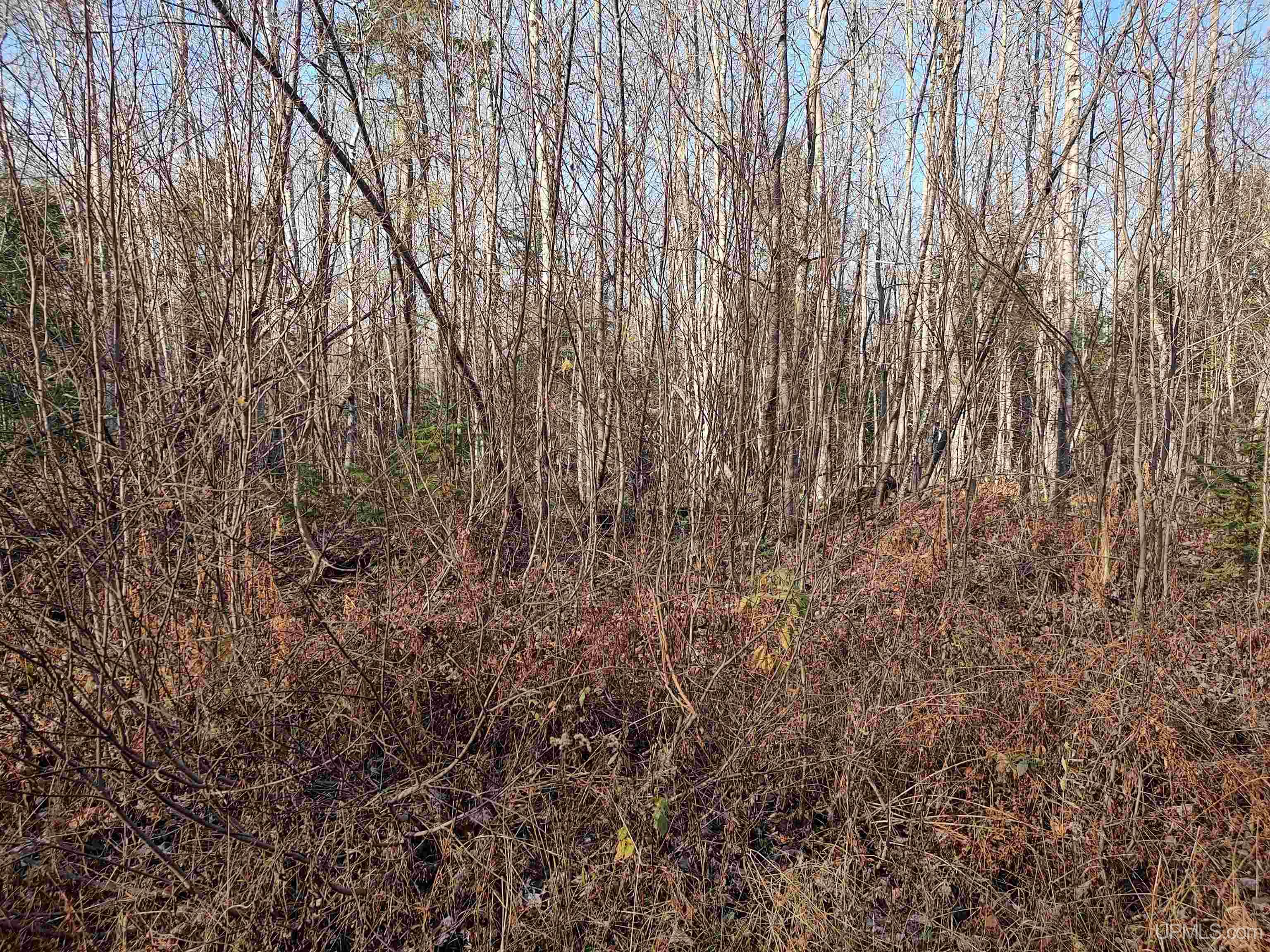 Tbd Billie Helmer Road Deerton, MI 49822 - Photo 5 of 20