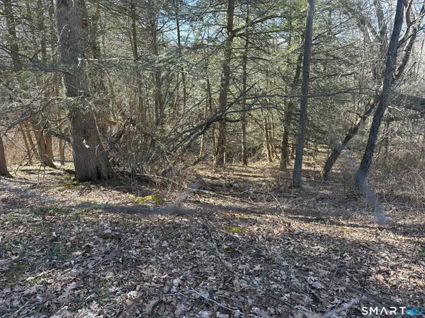 a view of open space with large trees
