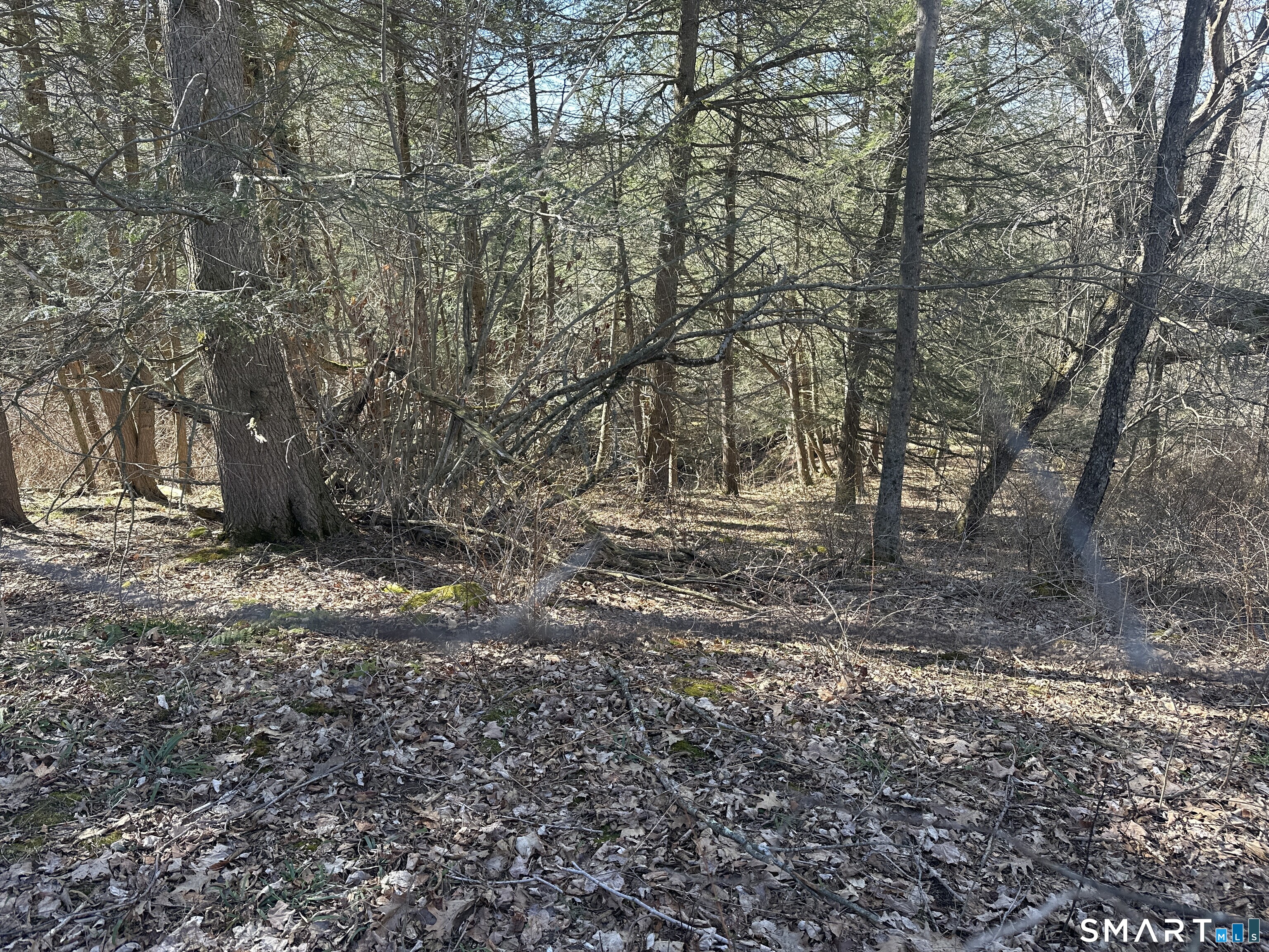 0 Newcomb Road Litchfield, CT 06759 - Photo 2 of 10