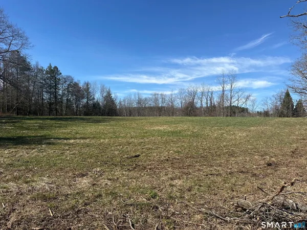 a view of a field with an ocean