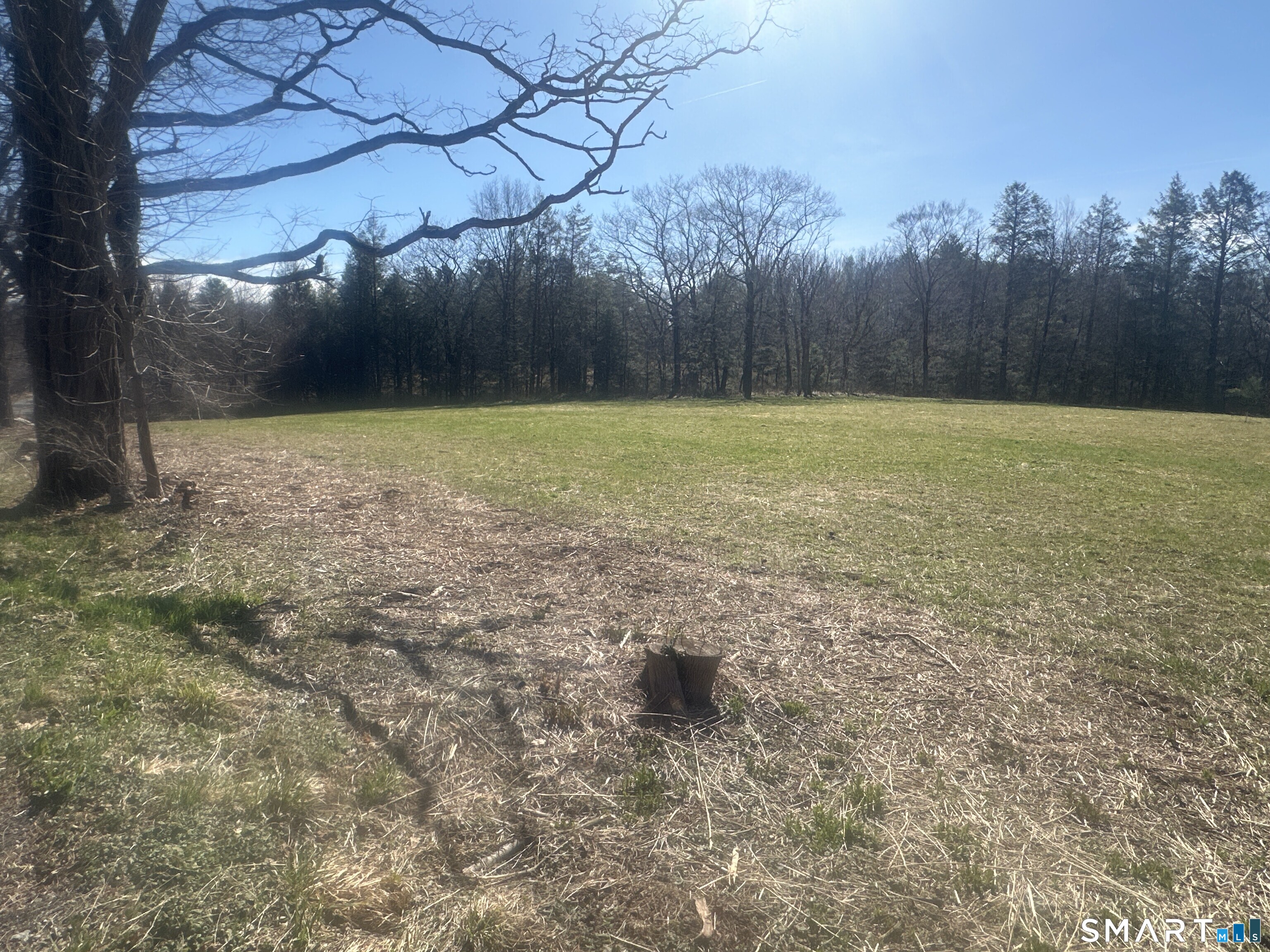 0 Newcomb Road Litchfield, CT 06759 - Photo 5 of 10